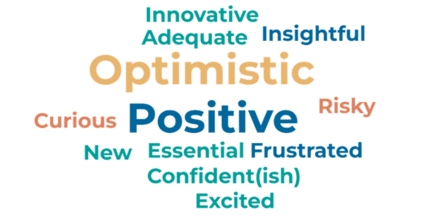 Optimistic, positive, riksy, curious, adequate, innovative, insightful, risky, curious, new, essential, frustrated, confident, excited